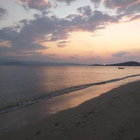Villa Polemis Agia Anna  ภายนอก รูปภาพ